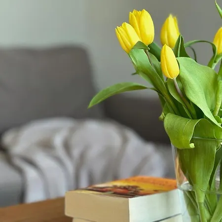 Vier-jahreszeiten-haus-i-wohnung-78 Lejlighed